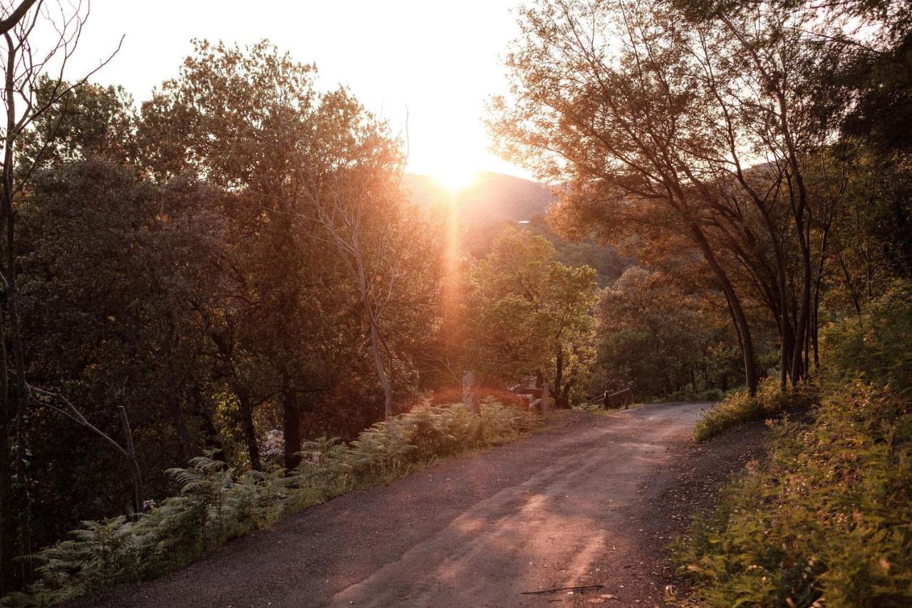 Slow Village Anduze Corbés Εξωτερικό φωτογραφία